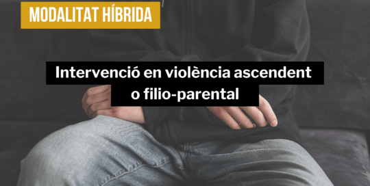 curs-intervenció-violència-filio-parental