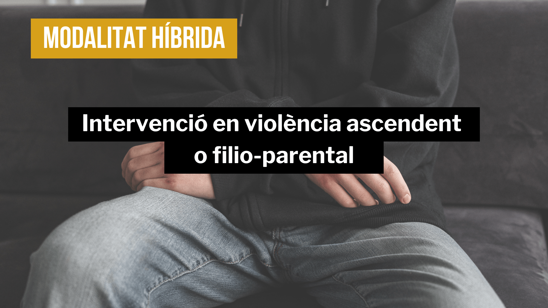 curs-intervenció-violència-filio-parental